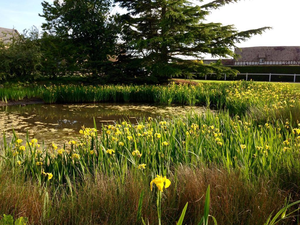 Residences Le Clos Du Manoir - Self Cooking Gauciel Exterior foto